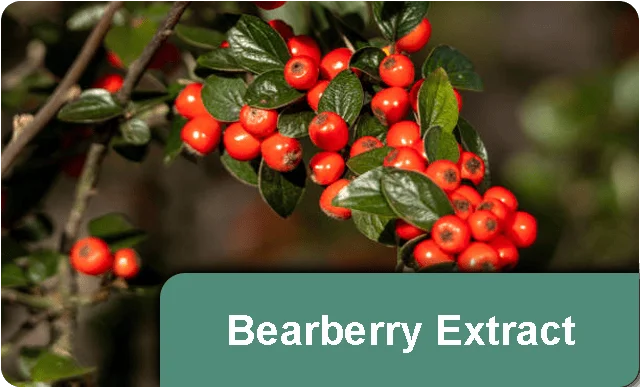 nail-refresh-bearberry