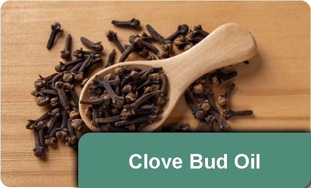 nail-refresh-clove-bud-oil