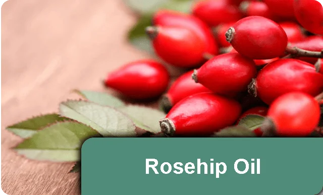 nail-refresh-rosehip-oil