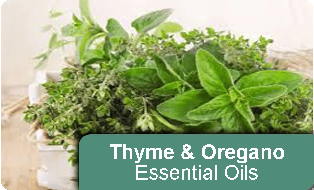 nail-refresh-thyme-oregano
